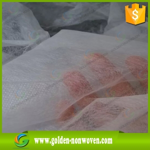 Biodegradable Spunbond PP Nonwoven Fabric Roll