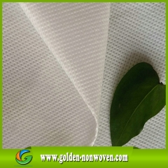 Material del bolso de compras 100% tela no tejida del ANIMAL DOMÉSTICO del poliéster hecho por Quanzhou Golden Nonwoven Co.,ltd
