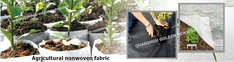 Agricultural nonwoven fabric