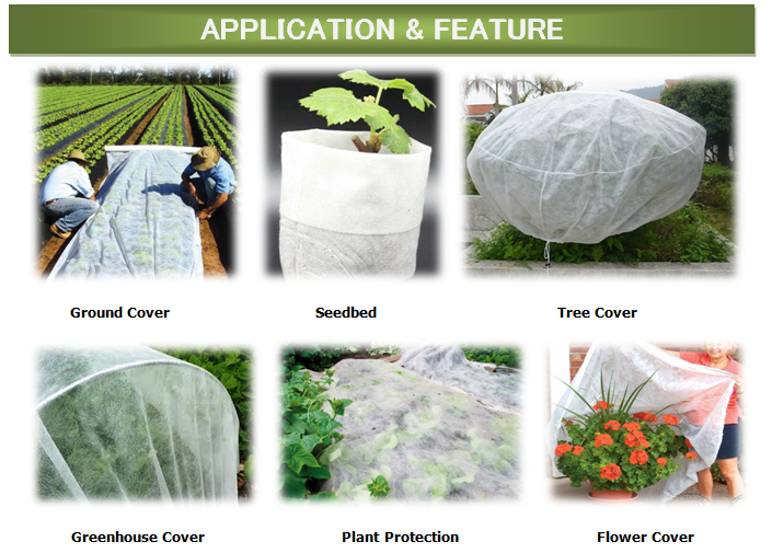 Seedbed and Ground Cover Non-woven Fabric