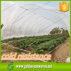 17gr agricultura tela no tejida control de malezas negro hecho por Quanzhou Golden Nonwoven Co.,ltd