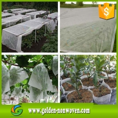 Agricultura invernaderos tela no tejida hecho por Quanzhou Golden Nonwoven Co.,ltd