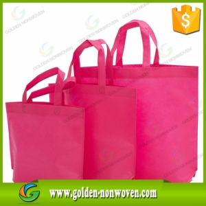 100% PP Nonwoven Promotional Recycled Shopping Bag