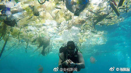 las bolsas de plástico hacen daño al mundo entero 